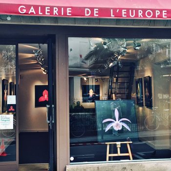 Exposition / Galerie de l’Europe