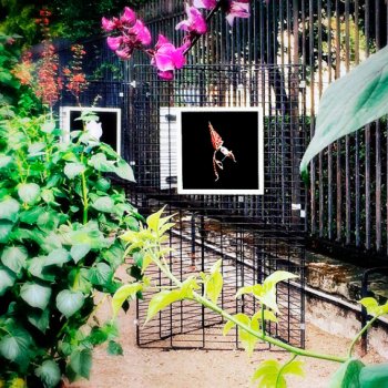 Exposition photo