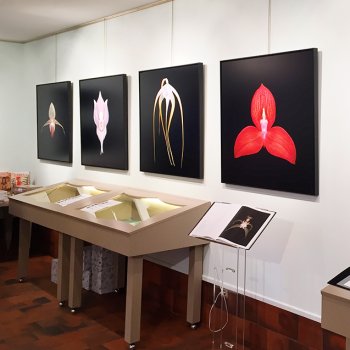 Exposition photo