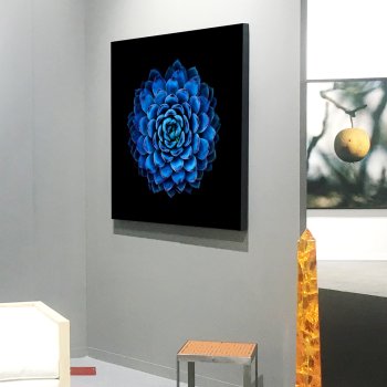 Salon Art Genève du 30 janvier au 2 février 2020