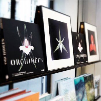 Dédicace Librairie Comme un Roman